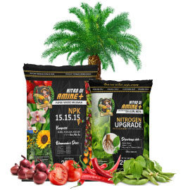 23q4q4564356354634567945698456h45j6hk4h6k4h5kj6h4k5j6k45b6m34m56b34mb56m3v5m6v43b56vnv56n4v6n