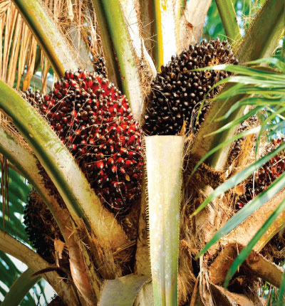 aboutnandhsgeg13287t8712687ykjqhw