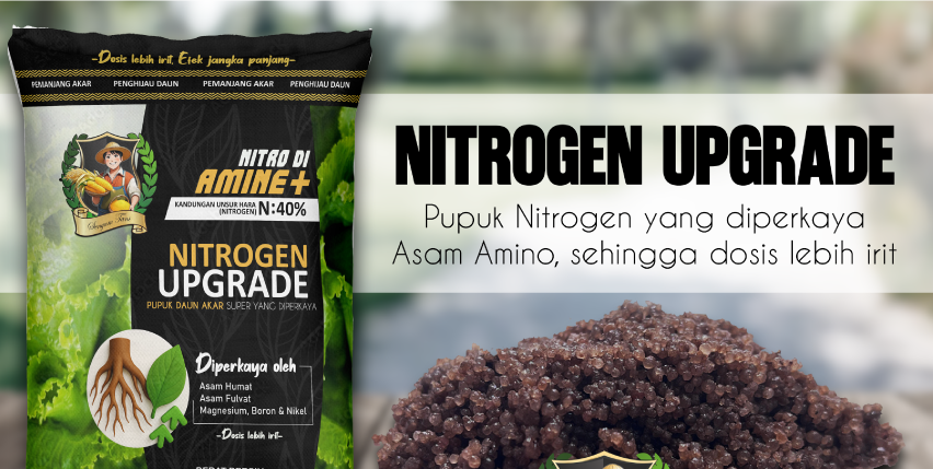 asdadad23423523452345325katalog nitrogen upgrade